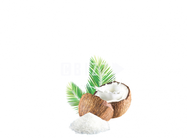 Coconut Milk Powder - Organic & ...